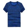 Rare Bird Men's 2021 Quick-Dry Outdoor T-Shirt: Plus Size Loose Fit, Short Sleeve