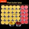 100 Smokeless Ghee Lights: 8-Hour Buddha Offering Set with Su Oil Lamps & Candles – Eco-Friendly, Long-Lasting Illumination