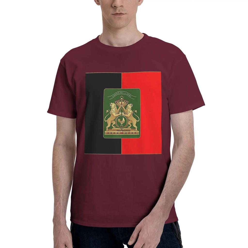 Haitian Independence Flag Men TShirt Oversized T Shirts Mens Round Neck Cotton Tees Short Summer Male