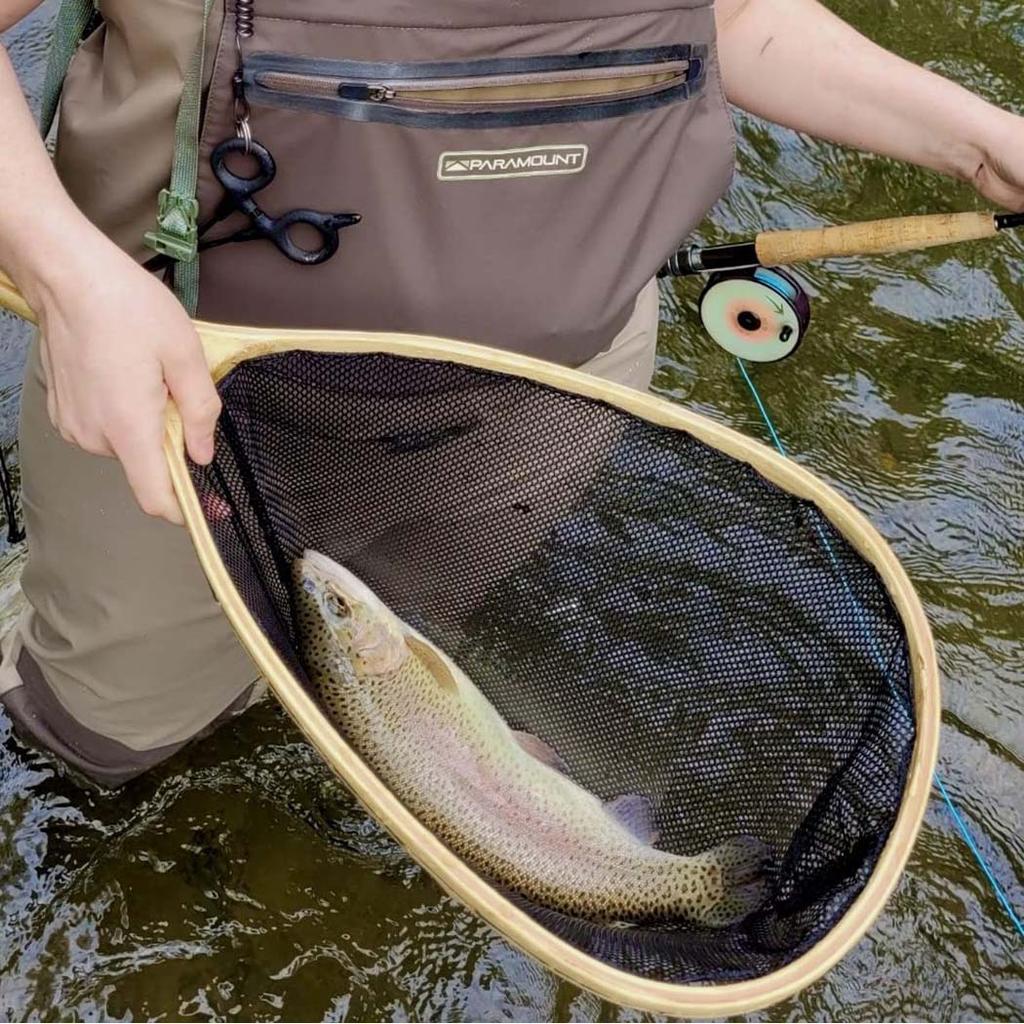 Fly Fishing Flies Bait 6/10Pcs/Set Dry Flies Brass Head Midges Bait&Caddis Midges Bait, for Trout Salmon Pike Fishing Fly Artificial Insect Lures