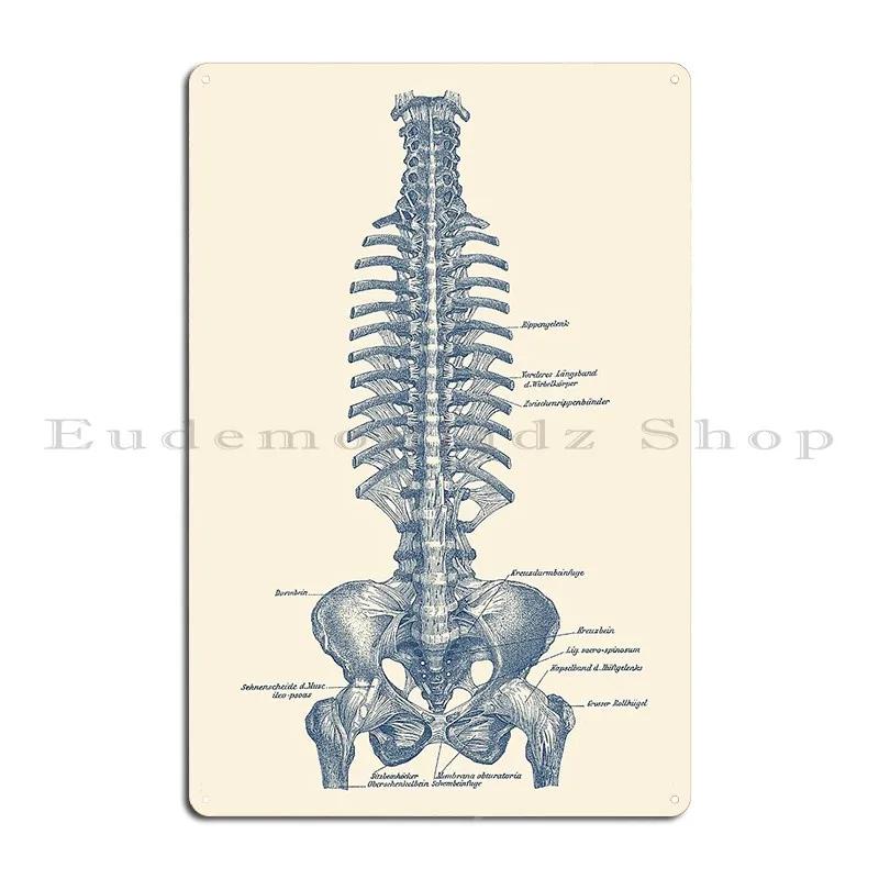 Oasele Coloanei Vertebrale Umane Anatomia Umană eft Vedere Laterală Metal Perete Peșteră Imprimat Petrecere Casă Placă Metalică Poster