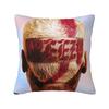 Raooer Chris Brown  () Pillow Case Cushion Cover Soft Pattern Pillow Cover Kawaii Pillowcases For Chair Sofa Home Decoration