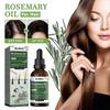 Rosemary Oil For Hair And Scalp - Hair Oil For Hair Loss To Stimulate Hair Growth And Care Of The Scalp With Castor Oil - Made In Germany - Pharmacy 5