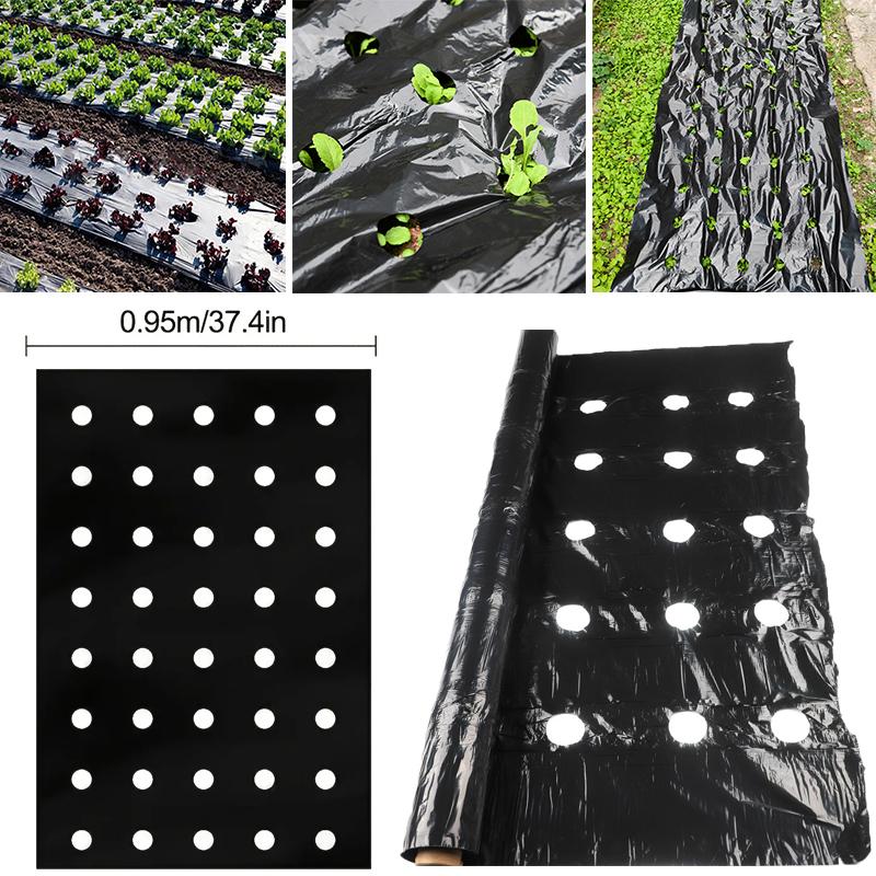 5~30M 5-Holes Black Plastic Mulch Film Perforated Greenhouse Vegetables Plant Keep Warm Film Agricultural Seedling Moisture Film