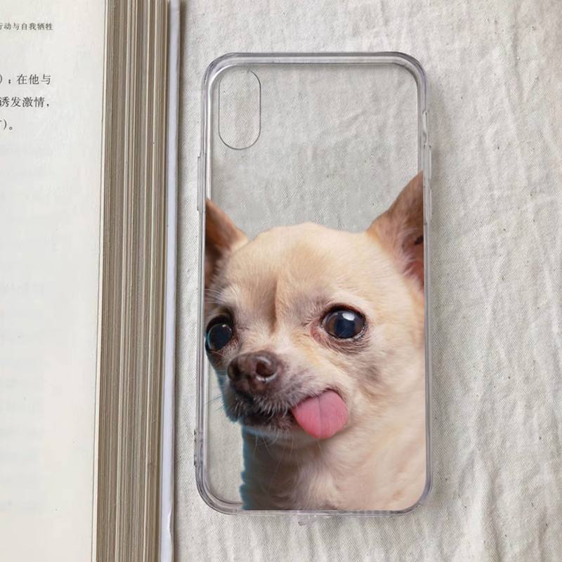 Chihuahua Dog Fashion Phone Case for iPhone 11 12 13 mini pro XS MAX 8 7 6 6S Plus X 5S SE 2020 XR case