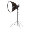 Godox SL100BI Bi-color LED Video Light Kit with Softbox and Stand