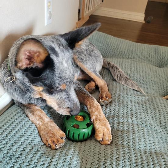 Dog Slow Feeder Ball Interactive Silicone Dog Chew Toy Treat Dispenser Ball DIY Dog Food Ball Mold for Dogs Teething Mental Stimulation