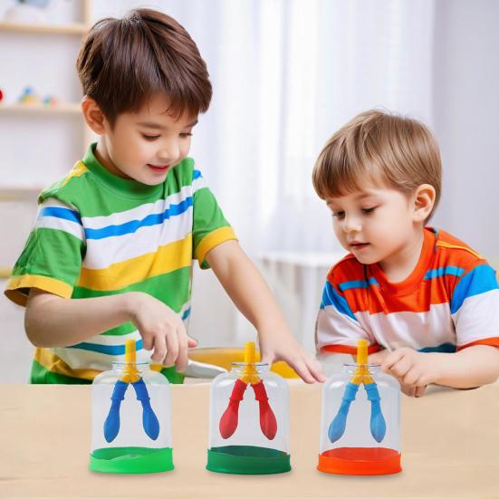 Lung Breathing Function Demonstration Model 3D Human Lung Breathing Simulation Device School Students Educational Scientific Experiments Teaching Aid