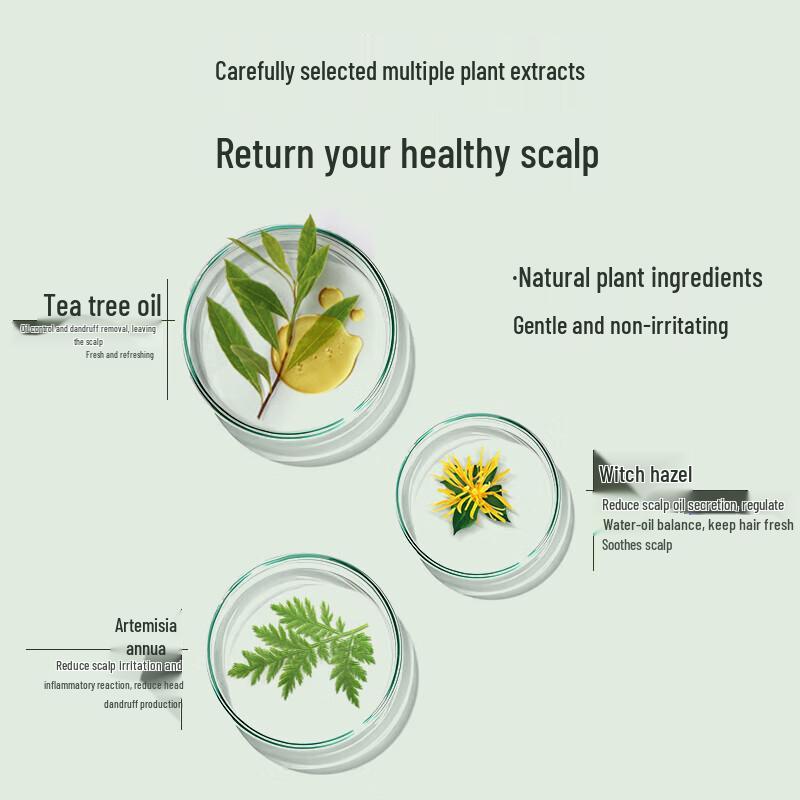 Shulèi Tea Tree Oil Control & Anti-Dandruff Hair & Body Care Set