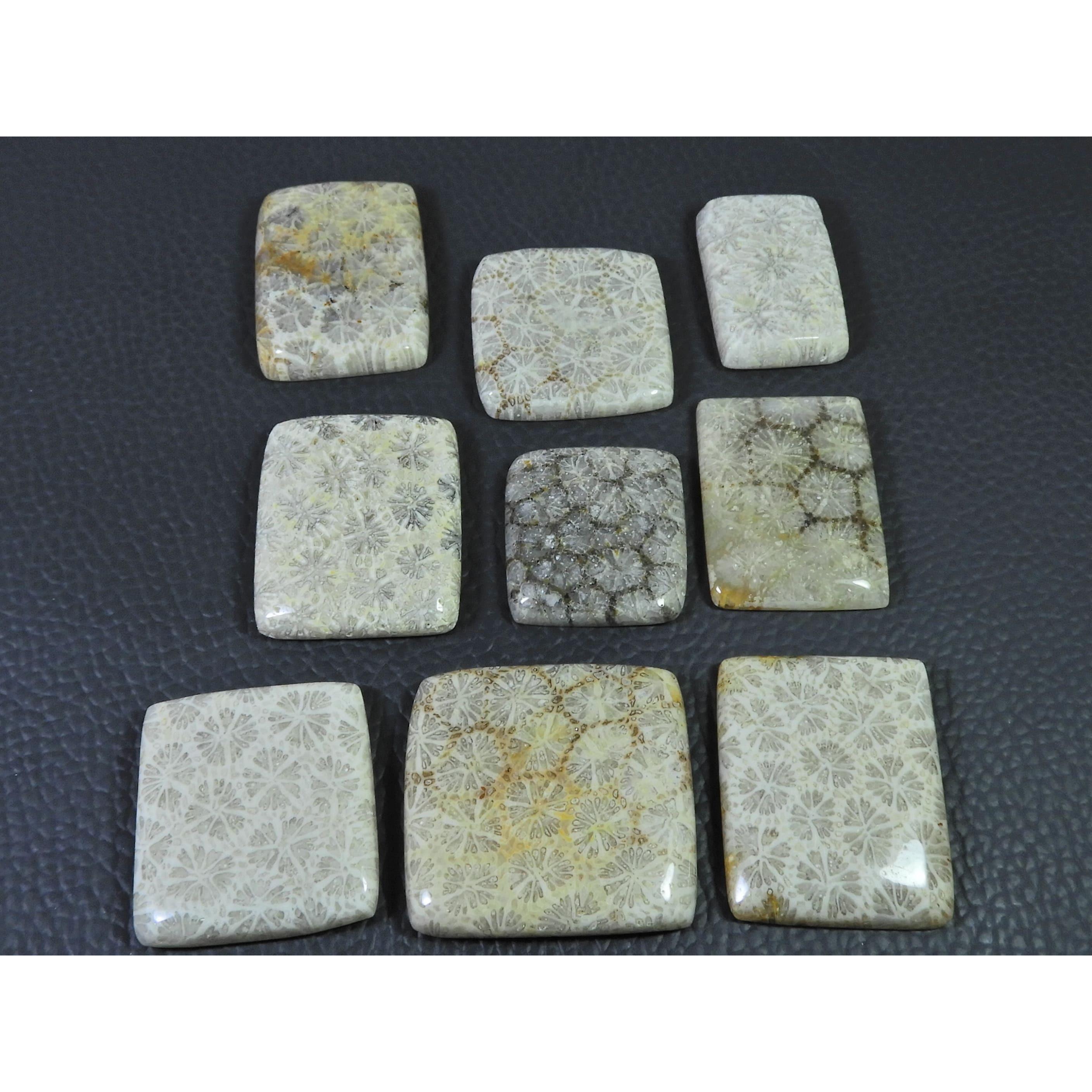 340Cts. Natural Fossil Coral Octagon Cabochon Loose Gemstone 9Pcs Lot C-1890