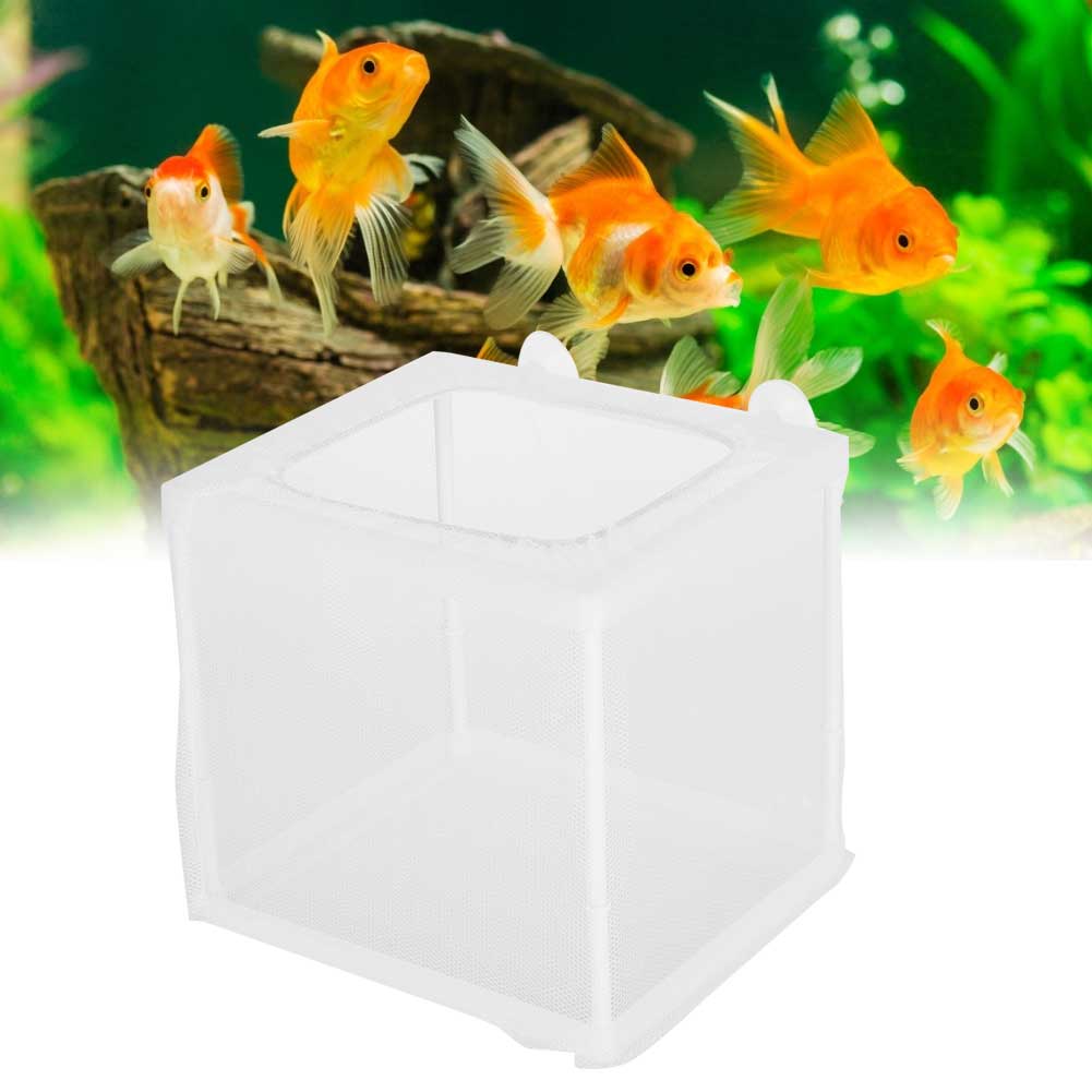 Aquarium-Aufzuchtbox, kleine Fisch-Isolations-Inkubator-Aquarien-Zubehör