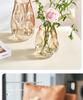 Nordic Style Irregular Glass Vase for Desktop Hydroponics