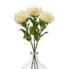 Hill Interiors Protea Lorea Stem Artificial Plant