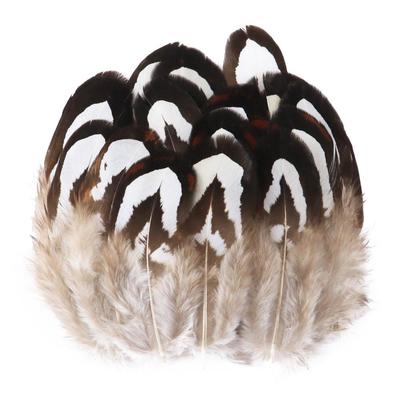 DIY Pheasant and Chicken Feather Jewelry Craft Supplies - Handmade Earring Decorations (50 Pieces).