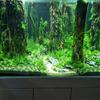 FishTank Shrimp Breeding Artificial Trunk Ornaments for Aquariums Terrarium Landscaping Shelter Decoration
