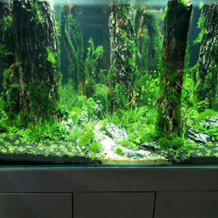 FishTank Shrimp Breeding Artificial Trunk Ornaments for Aquariums Terrarium Landscaping Shelter Decoration