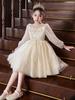 Girls' Luxury Tulle Dress for Piano Shows & Flower Girl Events