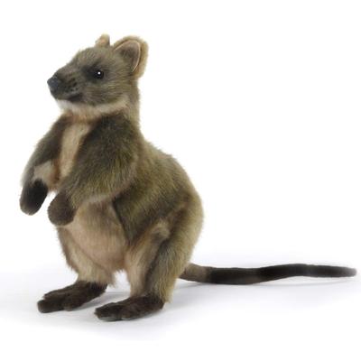 BH7362 HANSA Quokka 22