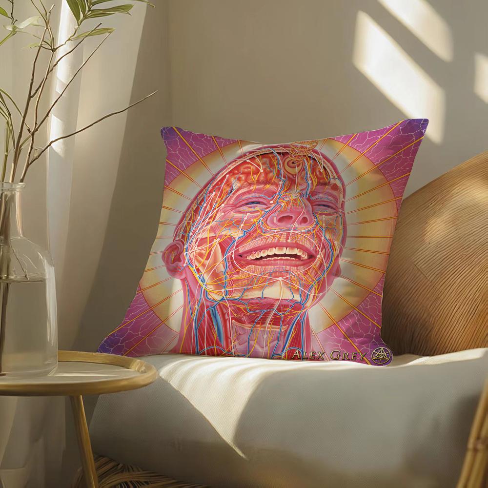 Alex gGrey art Pillow Case DoubleSided Plush Sofa Cushion Covers Organic Breathable Invisible Zipper