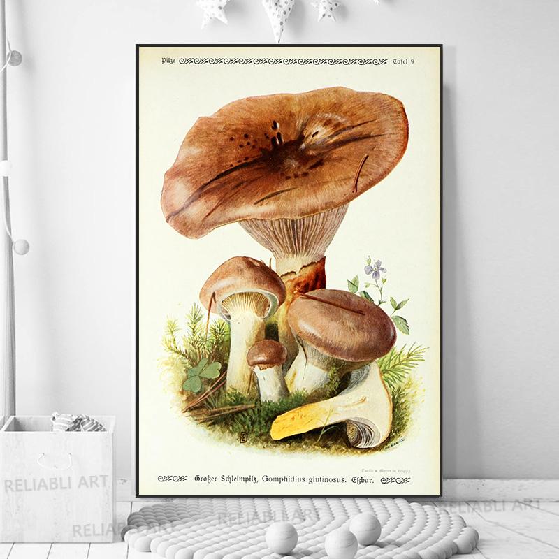 Vintage Mushroom Exemen Malba na plátně Starožitné umění na zeď Bylinné obrazy Vědecké plakáty a grafiky Dekor domácí kanceláře Cuadros