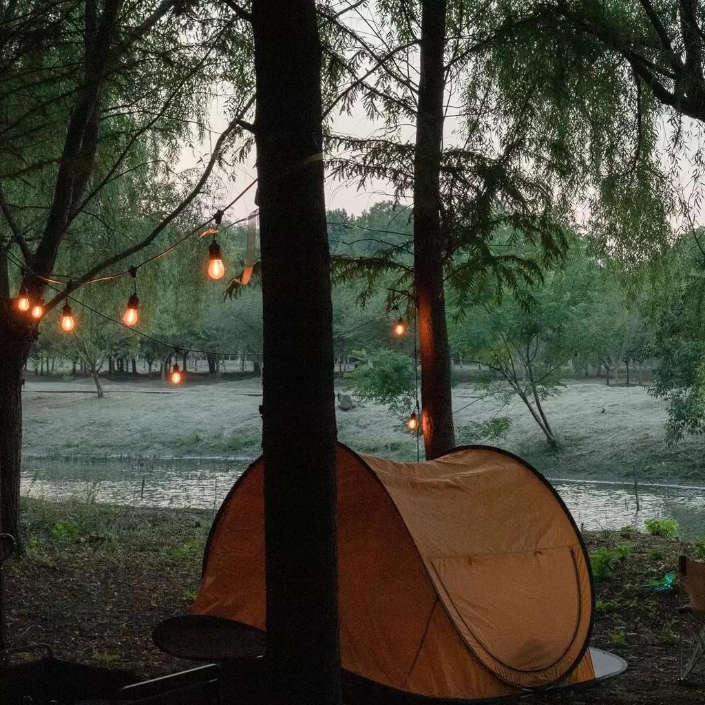 [Amazon Exclusive Brand] AKIRARI String Light Cord, Rainproof, E26 Bulbs, Christmas, Wedding, Party, Outdoor Lighting, Garden, Halloween, Connectable,