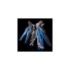 Bandai RG 1/144 Strike Freedom Gundam Titanium Finish Model Kit Hobby Collectible