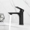 TLXT Gold Flat Design Single Cold Basin Faucet