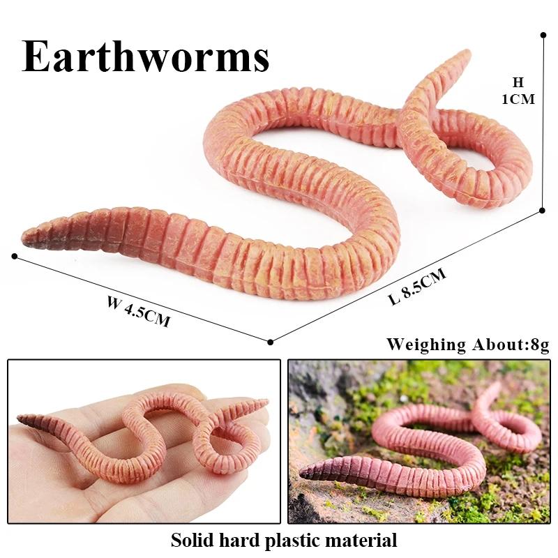 Oenux Insekten Tiere Modell Spinnennetz Skorpion Fledermaus Actionfiguren Figur Miniatur Niedlich Pädagogisch Kinder Spielzeug Halloween Geschenk