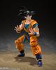 TAMASHII NATIONS Dragon Ball Super Son Goku SUPER HERO Painted Action Figure S.H.Figuarts