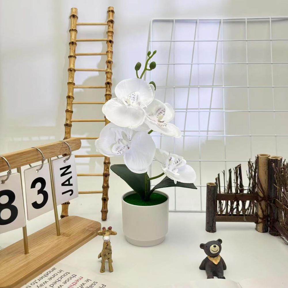 Phalaenopsis Artificial Potted Plant Silk Fabric Material Props Photography