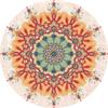 Ethnic Retro Persian Bohemian Carpet Washroom Floor Mat Living Room Carpet Rug for Bed Room Living Room Decoration