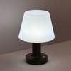 LED Table Lamp Touch Sensor Rechargeable Desktop Night Light Wireless Reading Lighting For Restaurant Hotel Bar Bedroom Decor