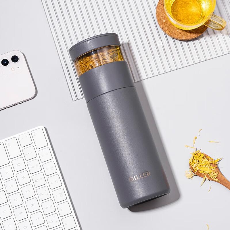 Diller 316 Stainless Steel Tea Infuser Insulated Bottle
