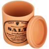 Kakuni Mino Ware SALT Salt Jar, Keeps Salt Dry and Fluid, Terracotta Ceramic Canister with Lid, Made In Japan, Kitchen Accessories, K60709