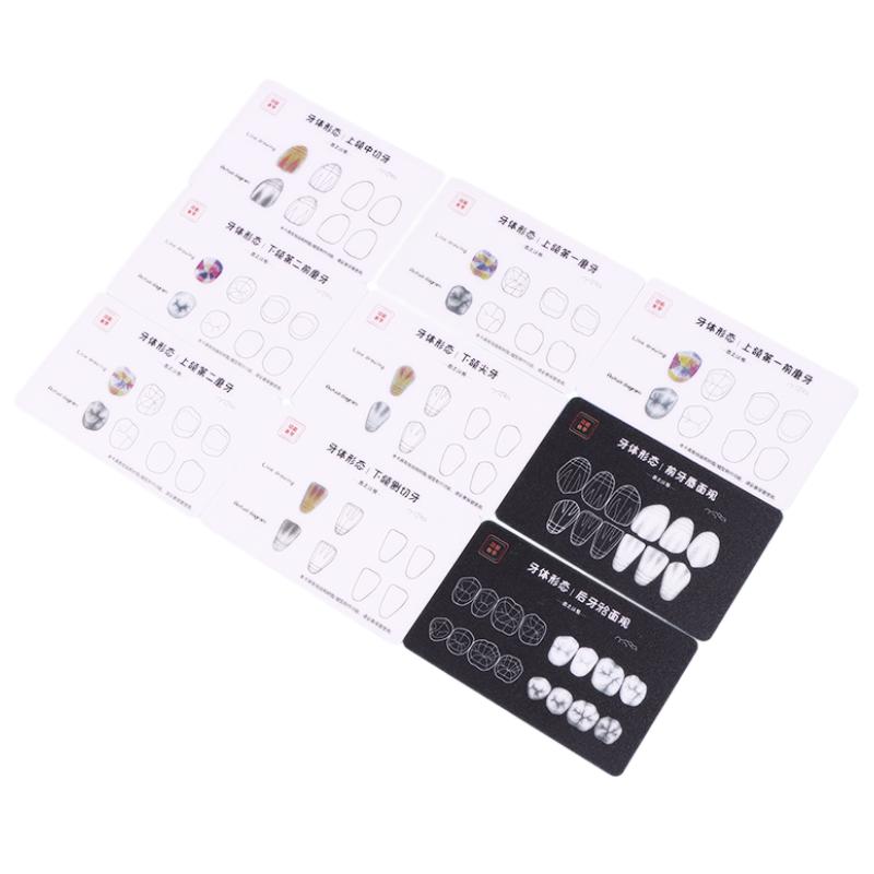 1box Dental Tooth Morphology Practice Card Resin Stacking Training Pad Dental Lab Teaching Tool Dental Students Auxiliary Tool