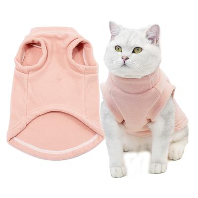 Kedi – Kediler için giyim