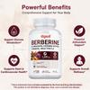 Berberine Cinnamon Cayenne Pepper Turmeric Milk Thistle Capsules 120 Count 1200mg — Plant-Based Formula, Daily Wellness, Nutritional Support