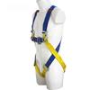 Five-Point Construction Safety Harness