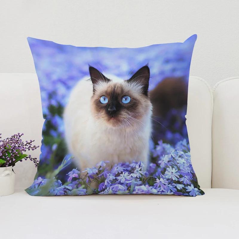 Cute Cat Decorative Pillow Cover 45x45 Cushions Covers Pillowcase 45*45 Bed Pillowcases Cover for Living Room Cushions Cushion