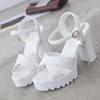 Mode Dames Zomer Blokhak Dames Schoenen Sleehak met Plateau Waterdichte Schoenen Dikke Dames Hoge Hak Sandalen