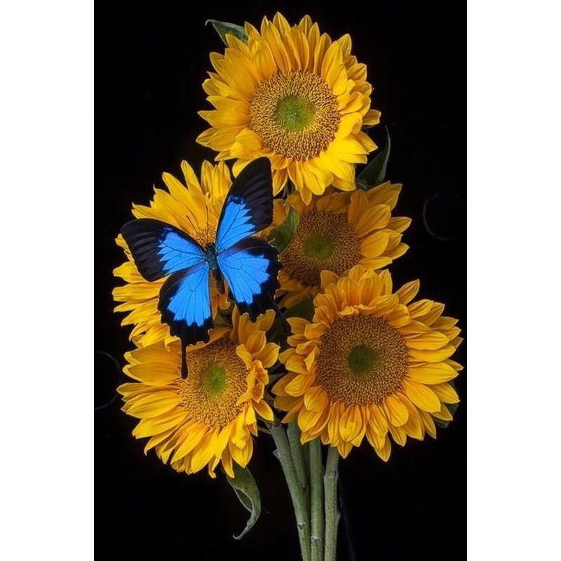 Set de artizanat cu punct de cruce pentru pictura cu diamante pentru decorațiuni de perete cu broderie cu diamante Poza cu floarea soarelui Hobby-uri semifinite