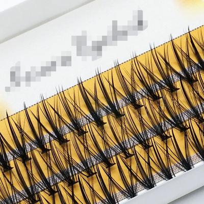 10D/20D/30D Krabička s trsy řas/60 svazků přírodních řas pro prodlužování Ruské individuální trsy řas make-up umělé řasy