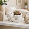 Talos Blumentopf-Ornament, 3D-gedruckte schlafende Drachenform, matt großer gewölbter Pflanztopf, für Heim-Büro-Schreibtisch-Garten-Dekoration