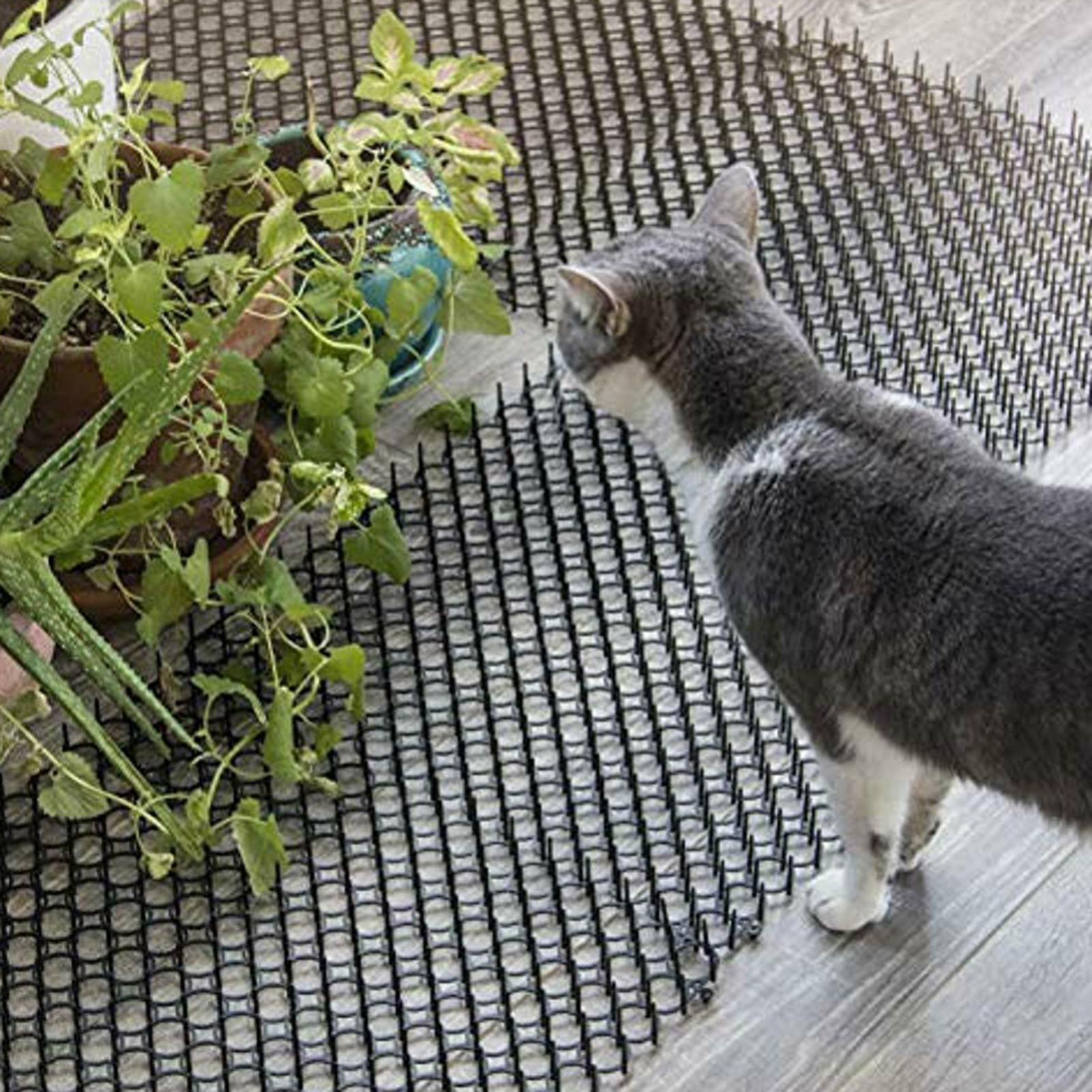 

10Pcs Repellent Mats + 10Pcs U Shape Nails Garden Prickle Strip Dig Stop Cat Dog Repellent Deterrent Mat Spike Garden 20PCS