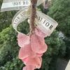 Face Bar Soap Strawberry Shaped Cleansing Soap On A Rope Aesthetic Decorative Lightening Cleanser Moisturizing For Skin Care Men