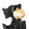 Exaggerated Personality, Smooth Folds, Earrings, Women's Irregular Geometry, Metal Earrings, Jewelry