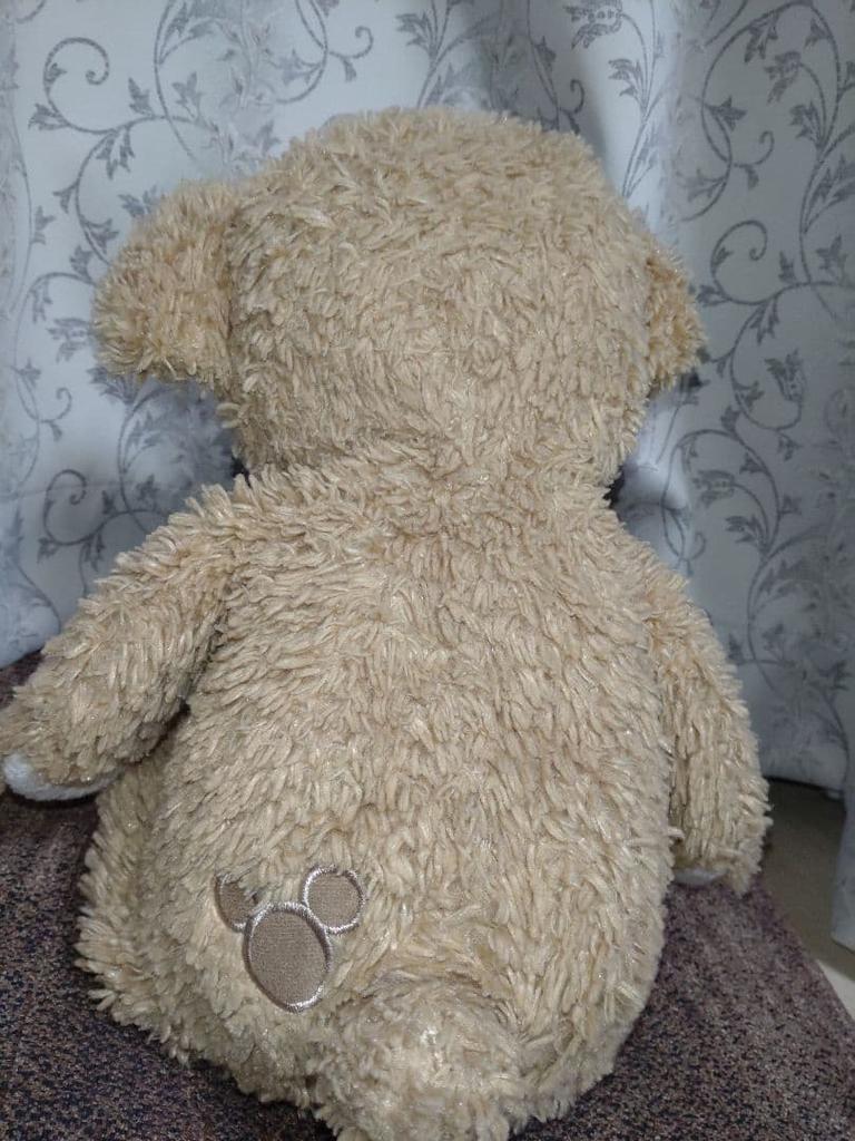 [USED] Teddy bear plush toy (Disney)