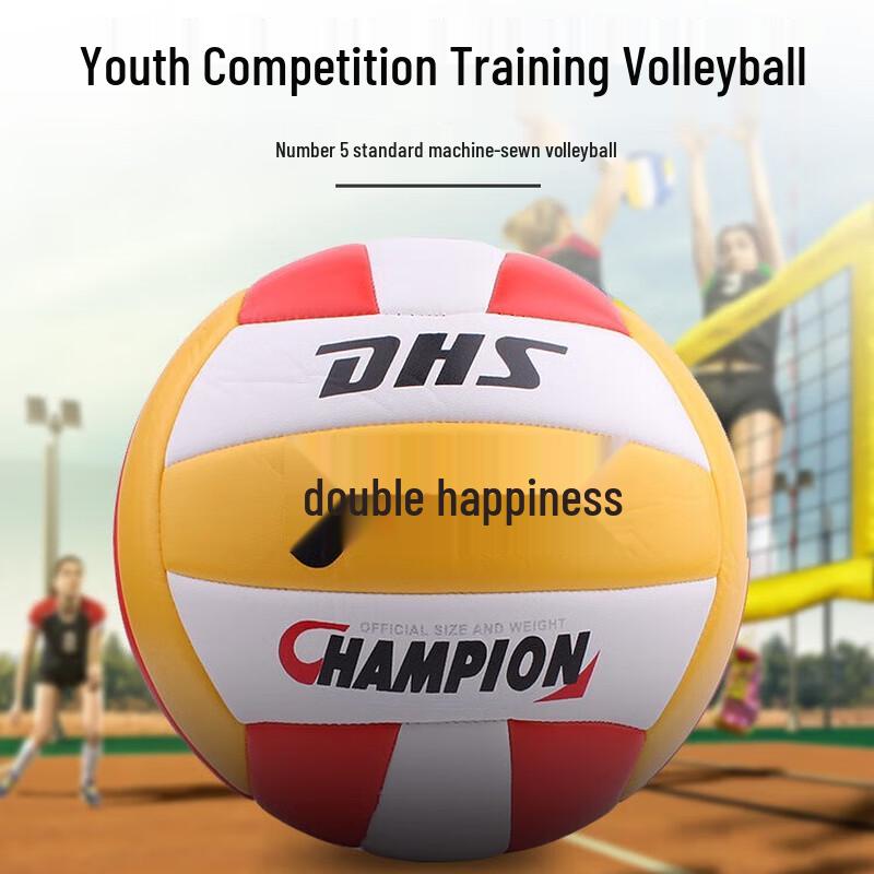 DHS FV518-2 Training Volleyball