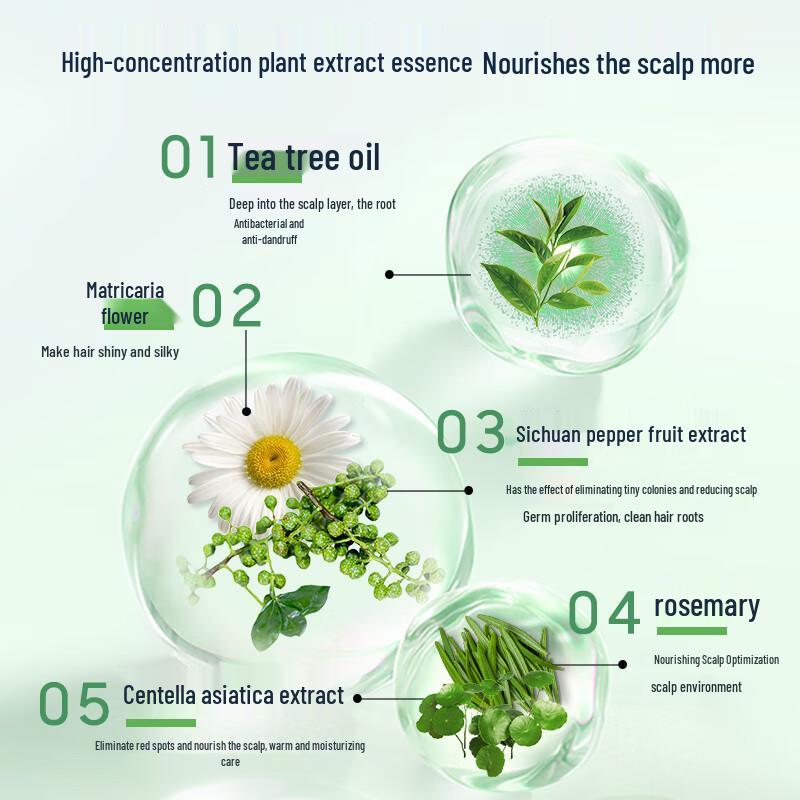 Kaili Tea Tree Oil Anti-Dandruff & Oil Control Shampoo