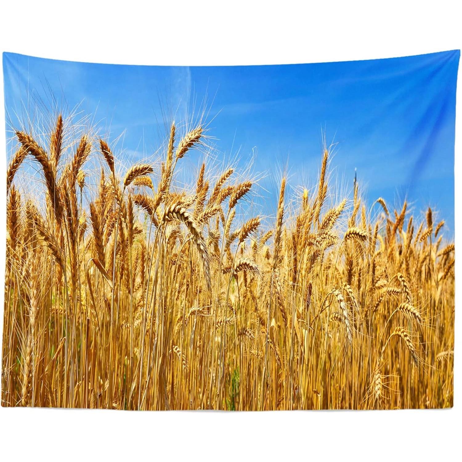 Loccor Wheat Harvest Field Photograph Tapestry 5x4ft 75x100